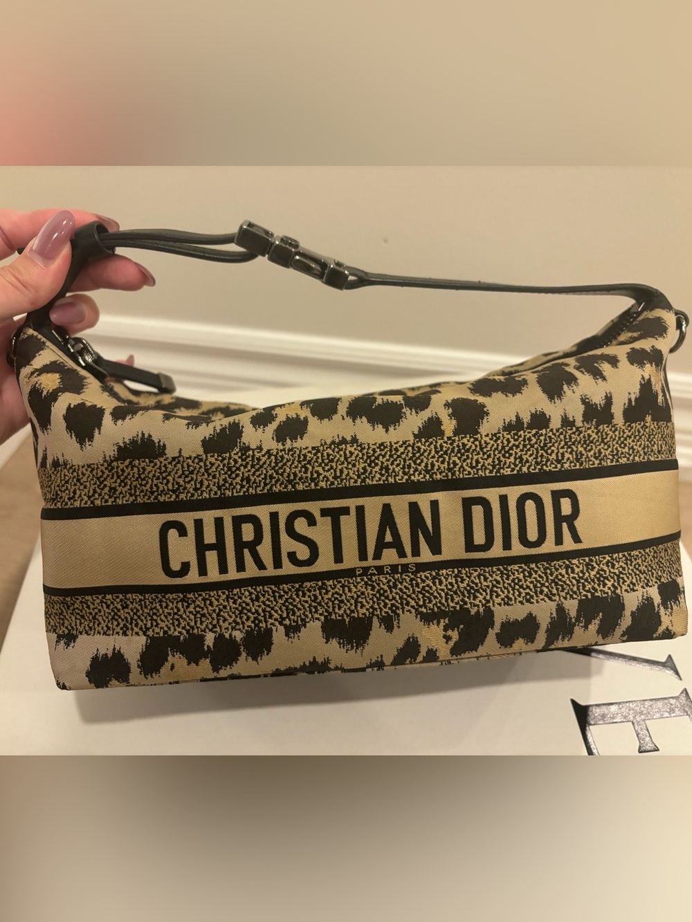 Christian Dior Nomad Pouch Medium in Cheetah Print